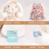 A genuine forest-themed floral dress with droopy ears, a plush rabbit doll, a floral dress, and a cute little rabbit figurine for home decoration Application Scenario